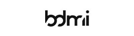 BDMI SRL